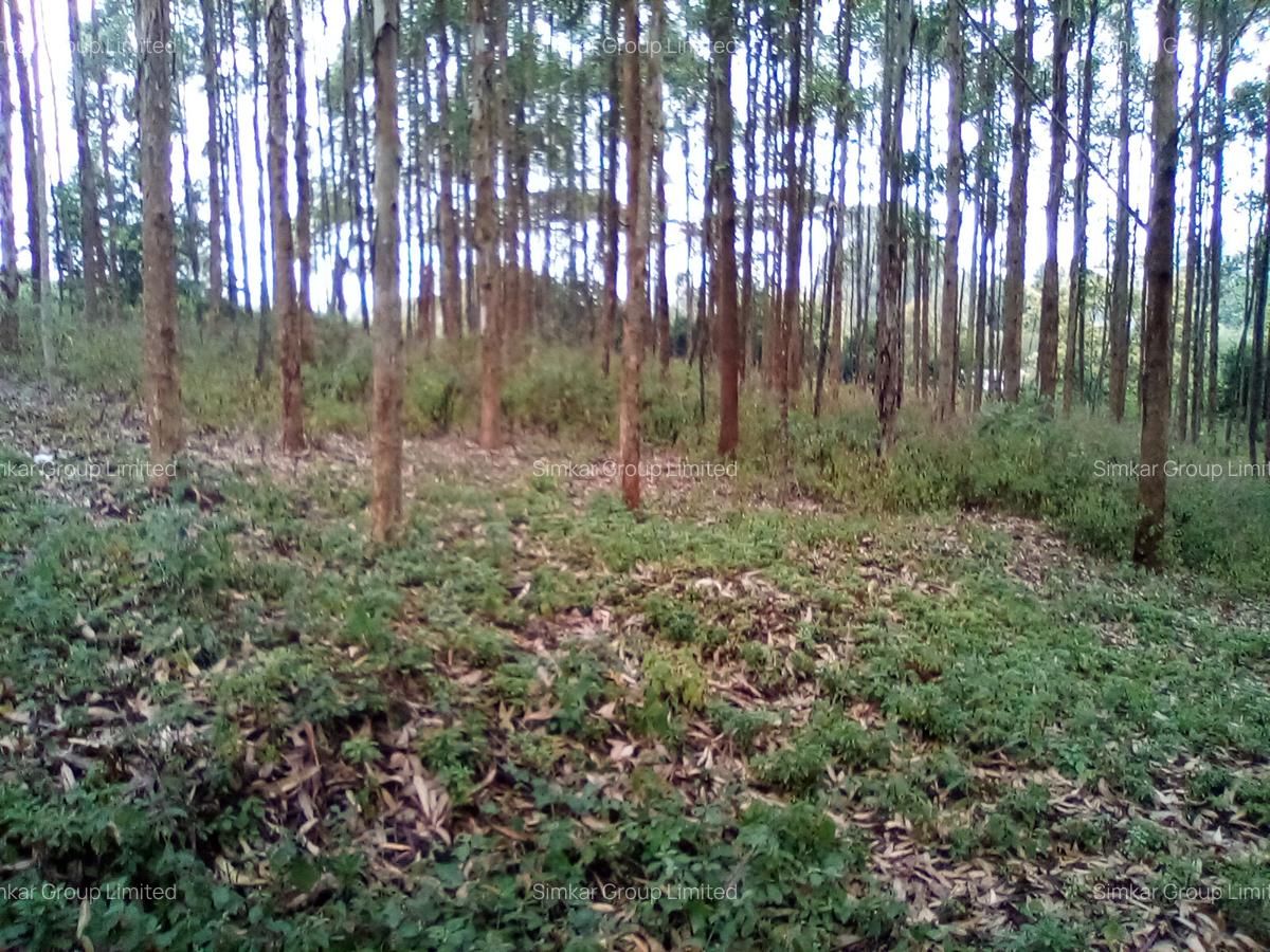 Land at Upper Matasia - 8