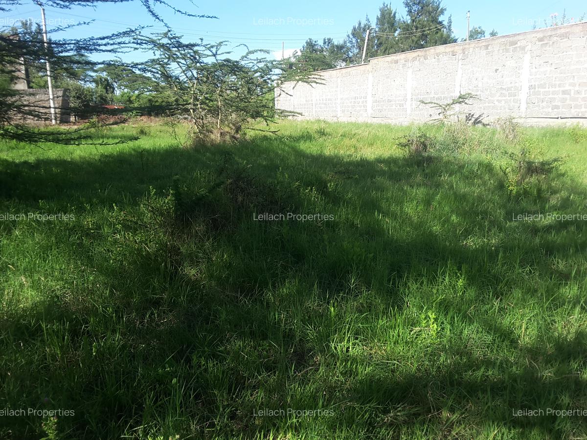 0.25 ac Residential Land in Ongata Rongai - 8