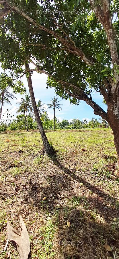 Land at Vipingo - 12