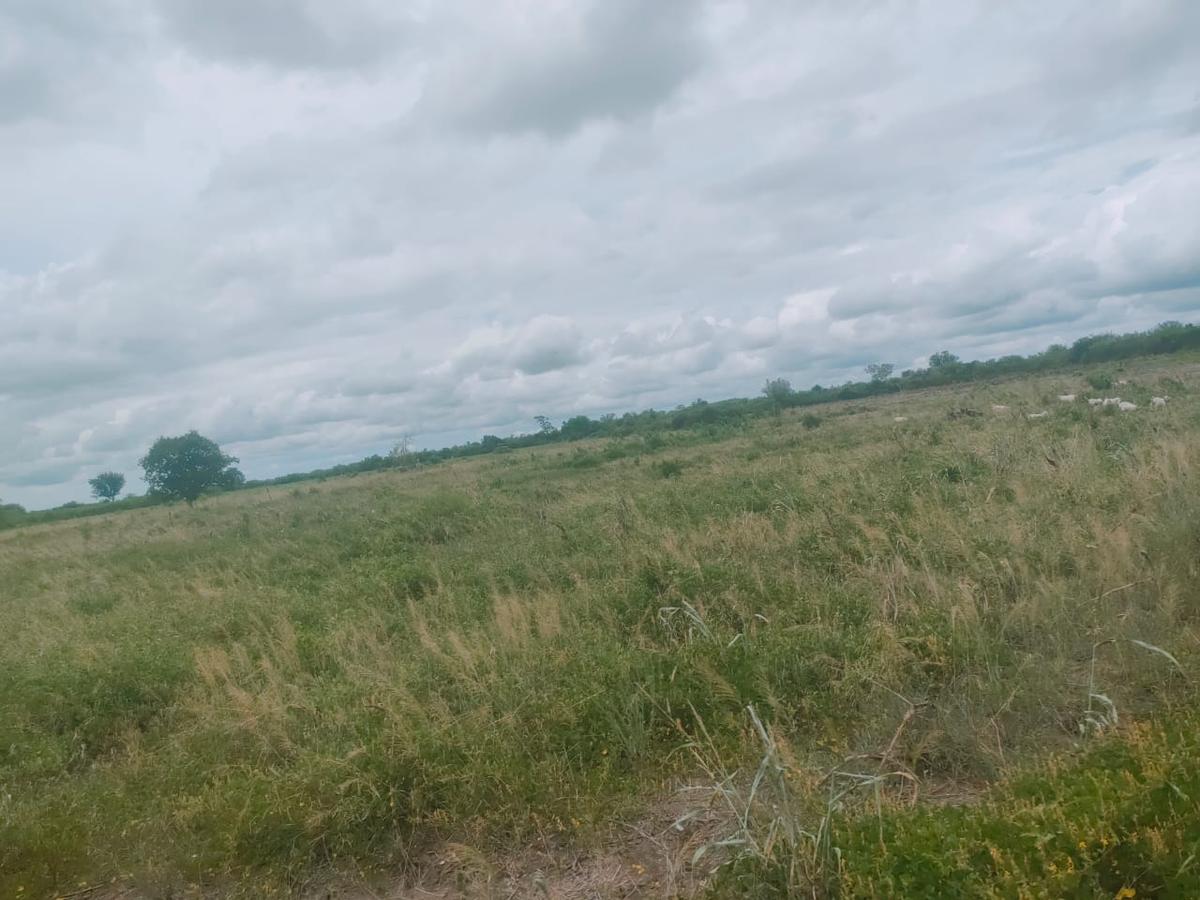 12 ha Land at Malindi -Lamu Highway - 8