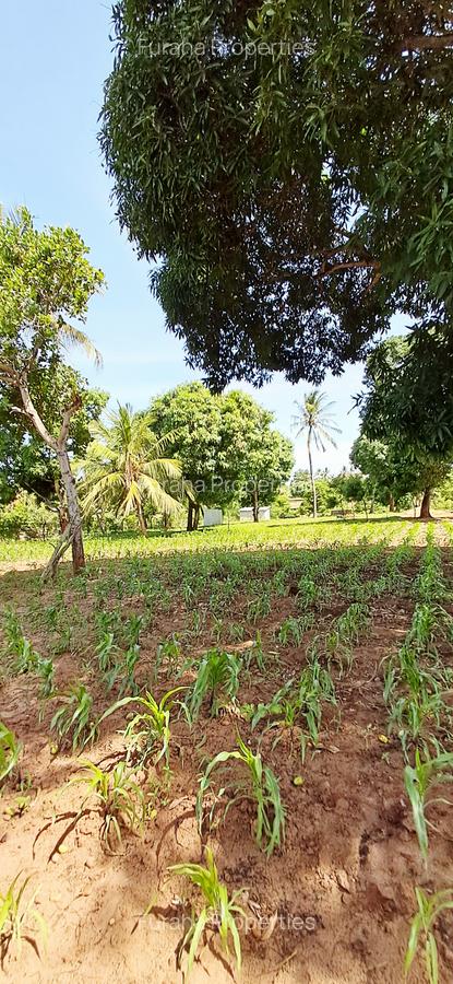 Land at Kilifi Tezo - 16
