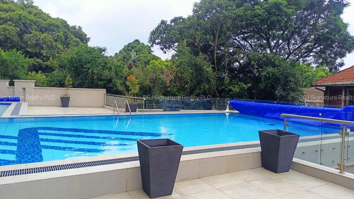 4 Bed Apartment with En Suite in Kileleshwa - 12