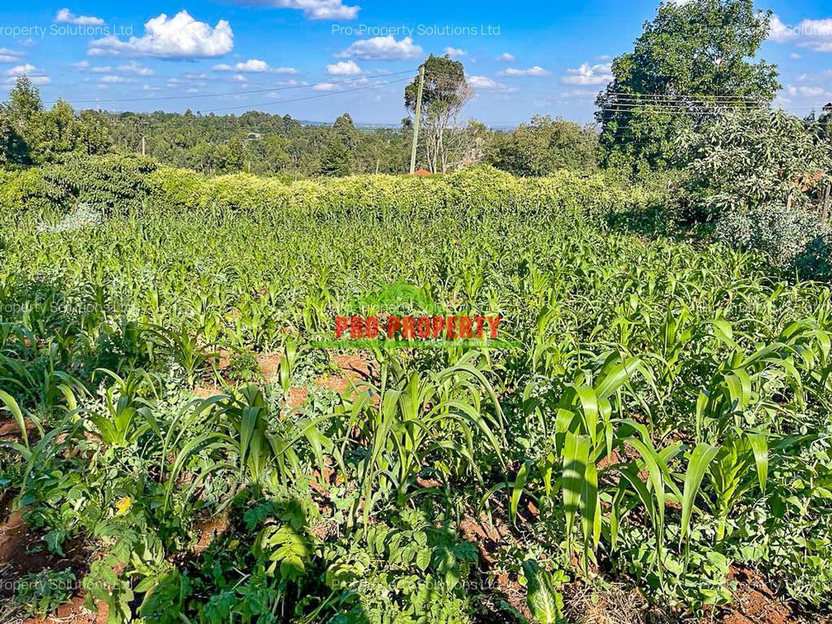 0.05 ha Commercial Land at Sigona - 6