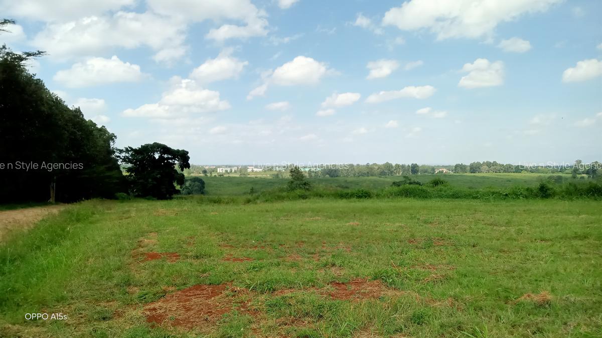 Residential Land in Runda - 7