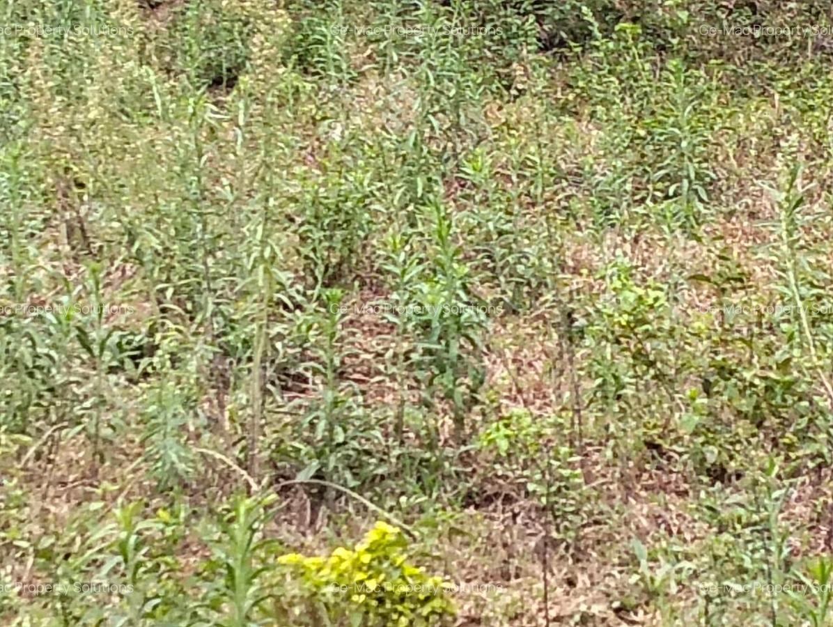 Land at Kirawa Road - 5