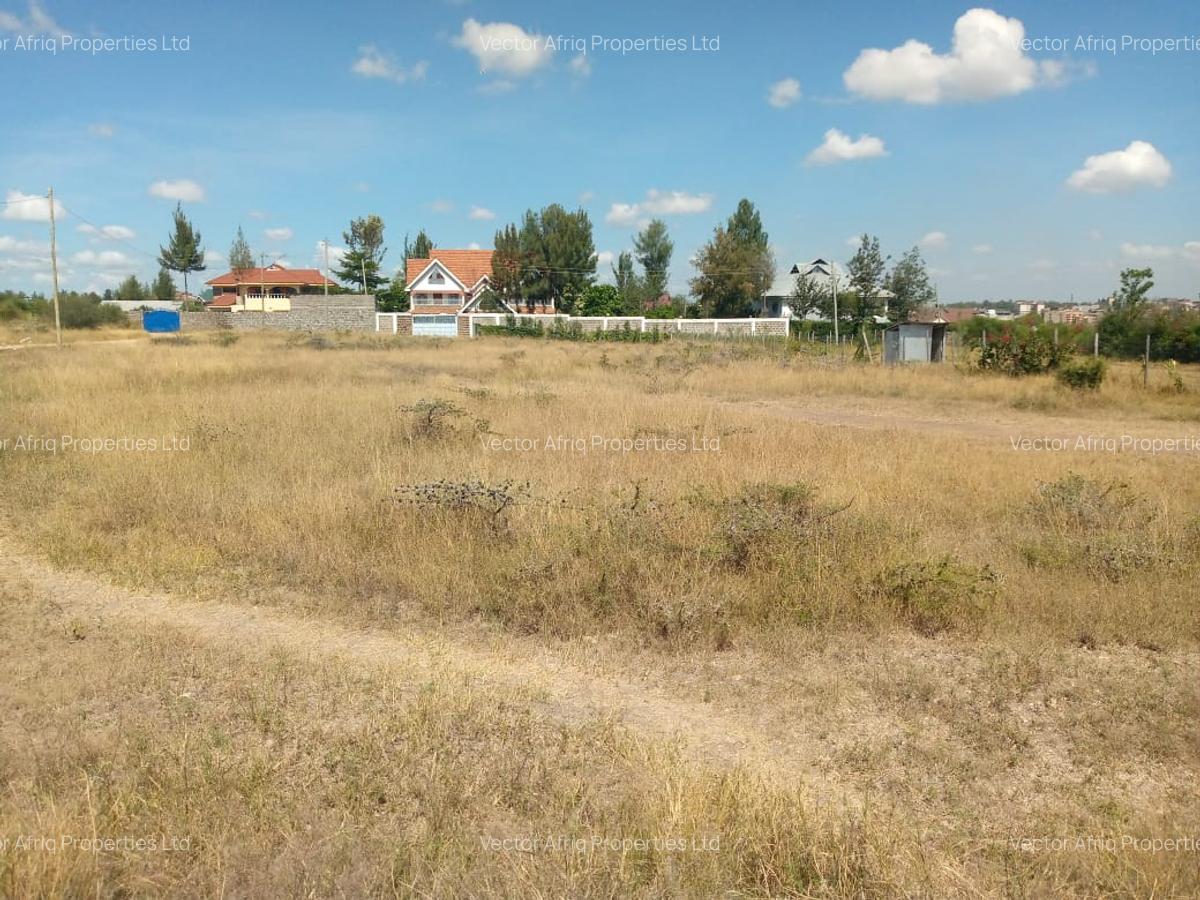 Commercial Land at Chuna - 3