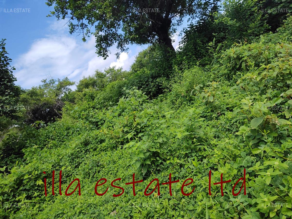 0.25 ac Land at Diani Beach Road - 1