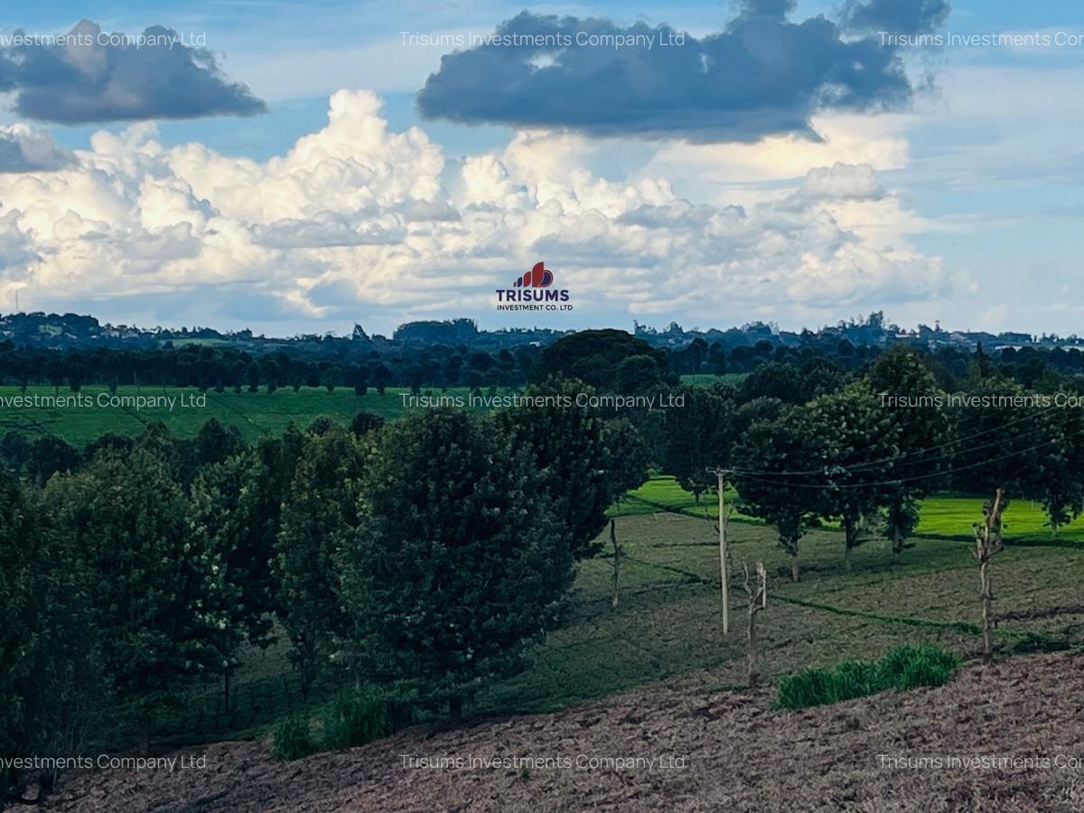 40 ac Land in Limuru - 3