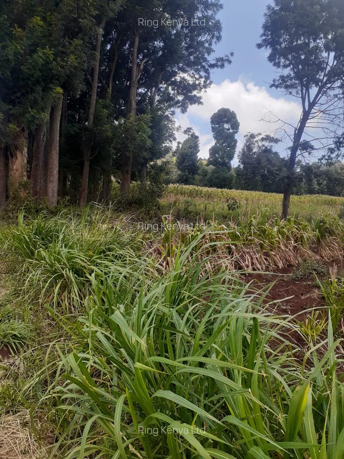 Land at Kibirichia - 3