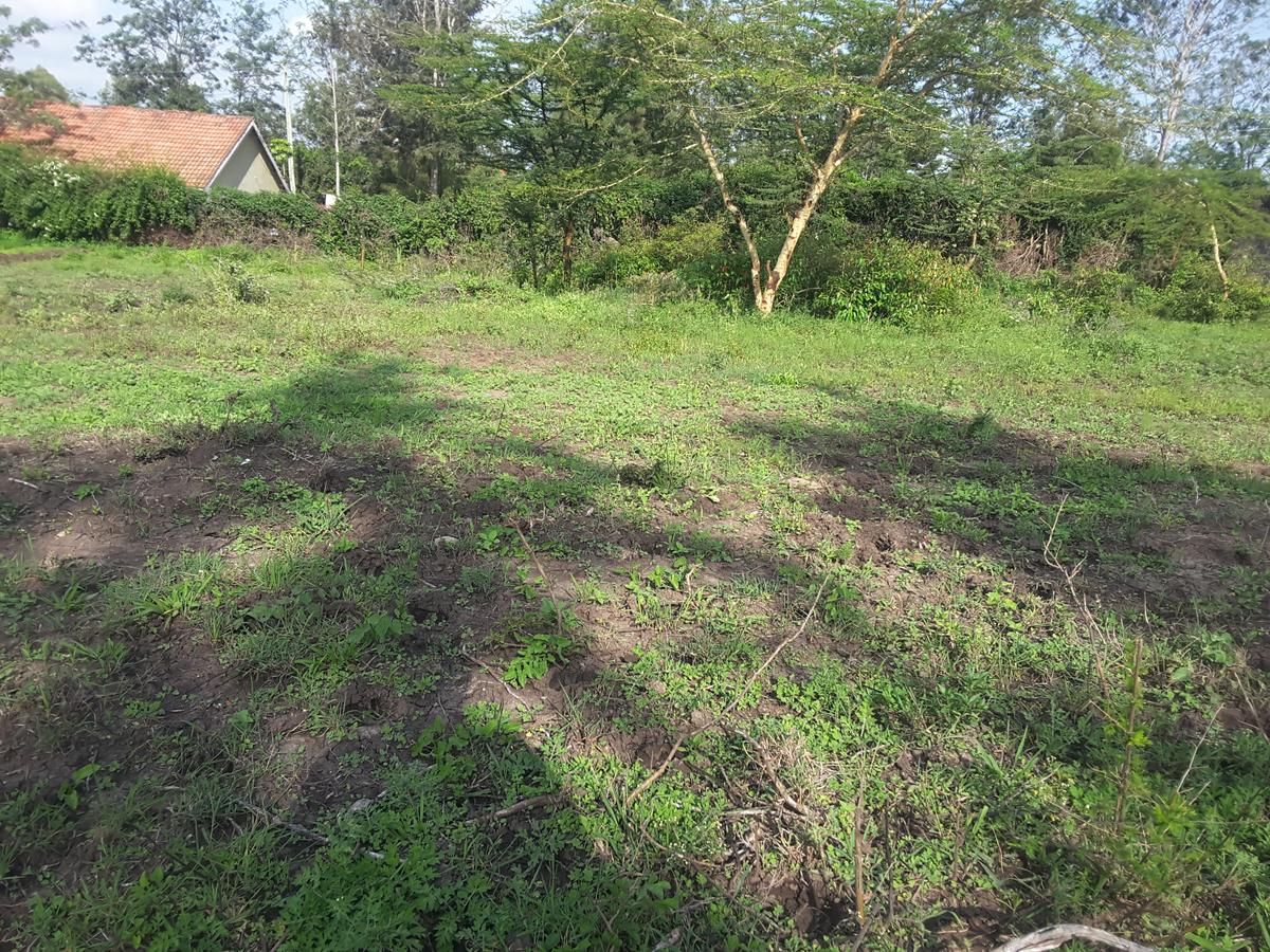 0.25 ac Residential Land in Ongata Rongai - 6