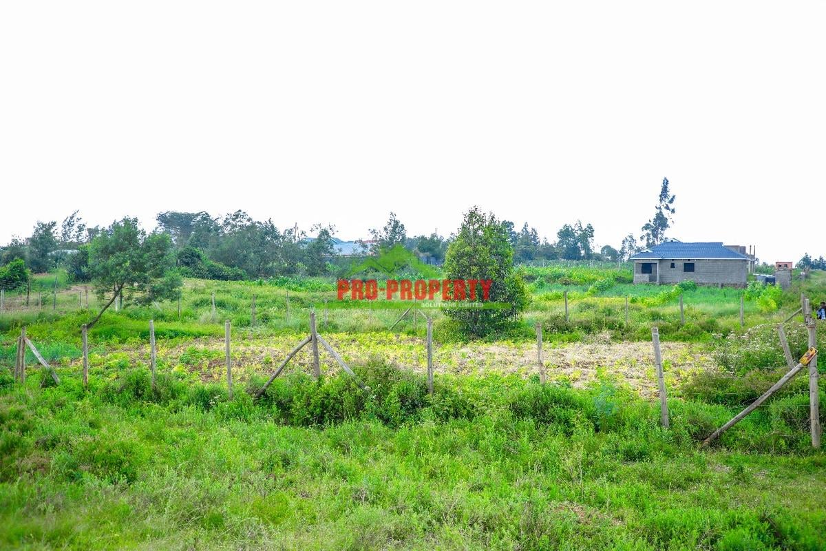 0.05 ha Residential Land at Kamangu - 4