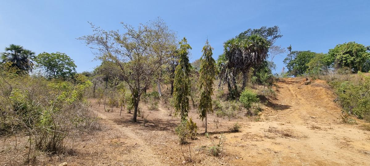 1 ac Land at Mtwapa Creekside - 13