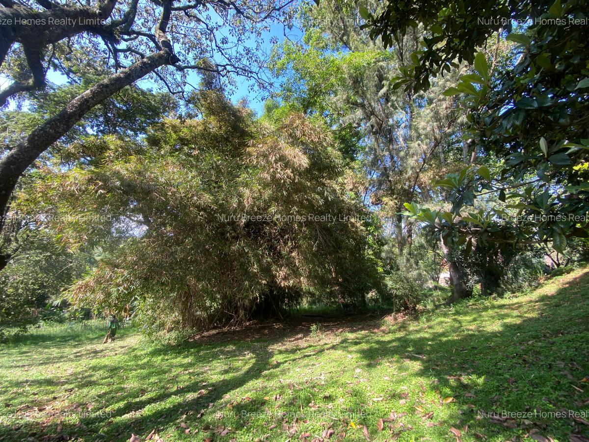 1.25 ac Residential Land in Kyuna - 7