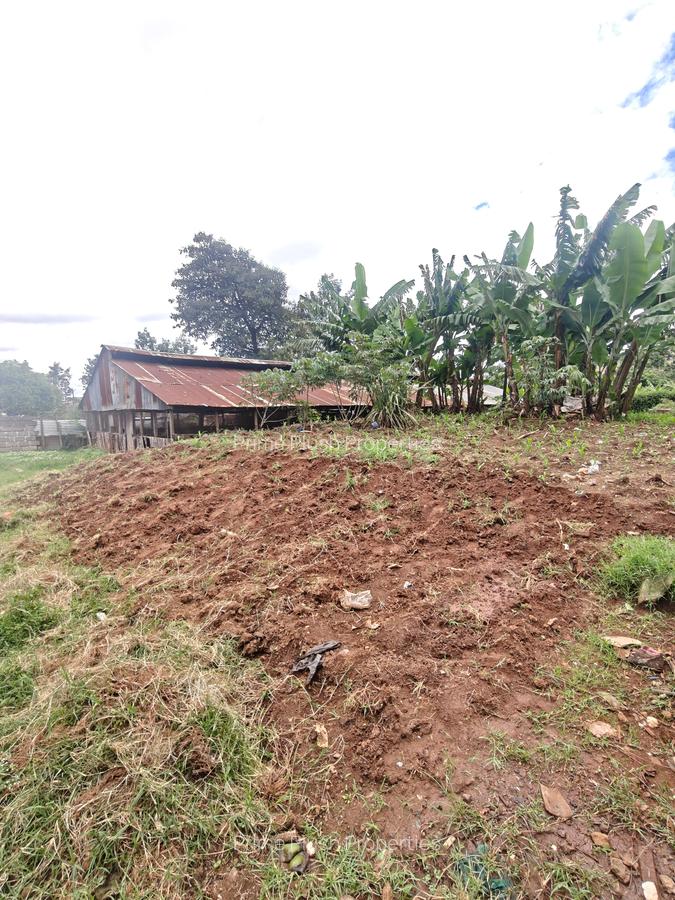 0.5 ac Land in Thome - 8