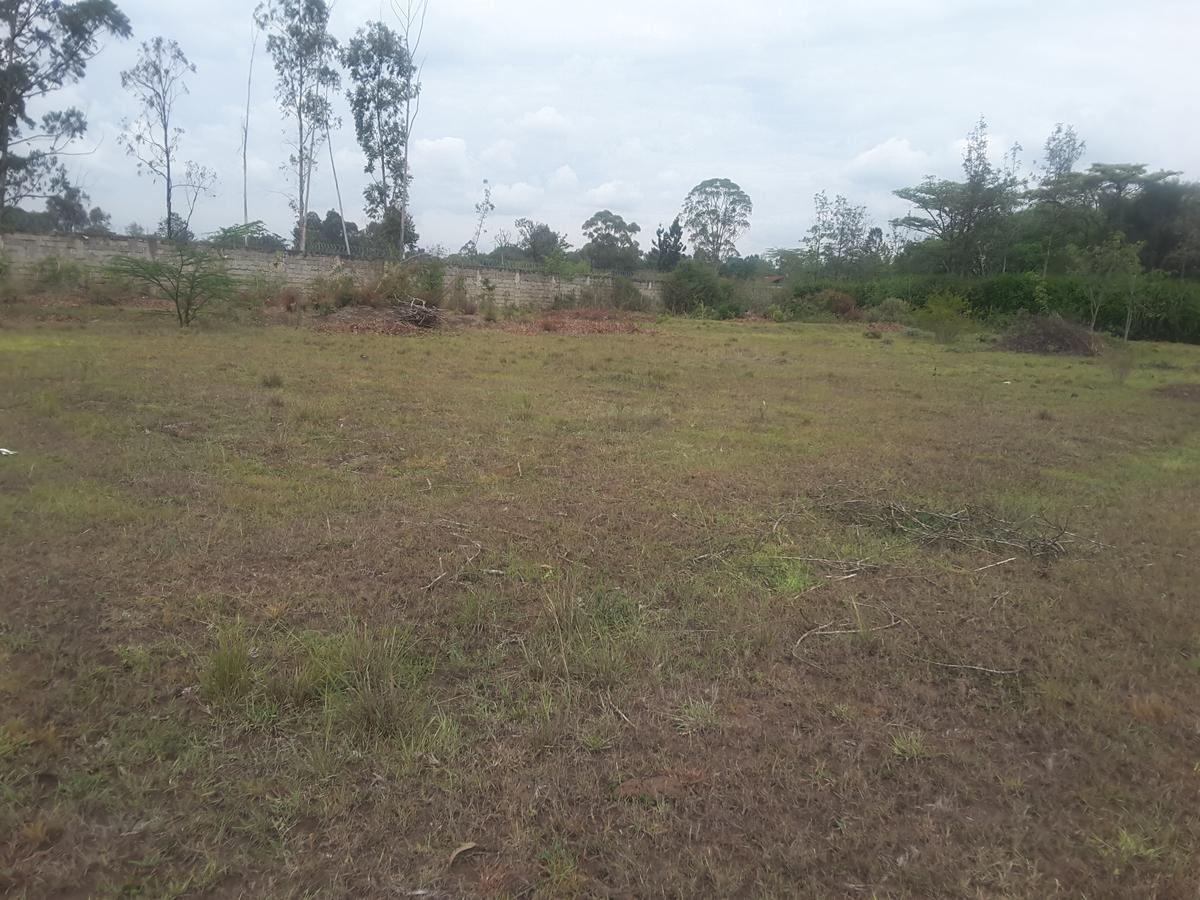 0.5 ac Residential Land in Karen - 6