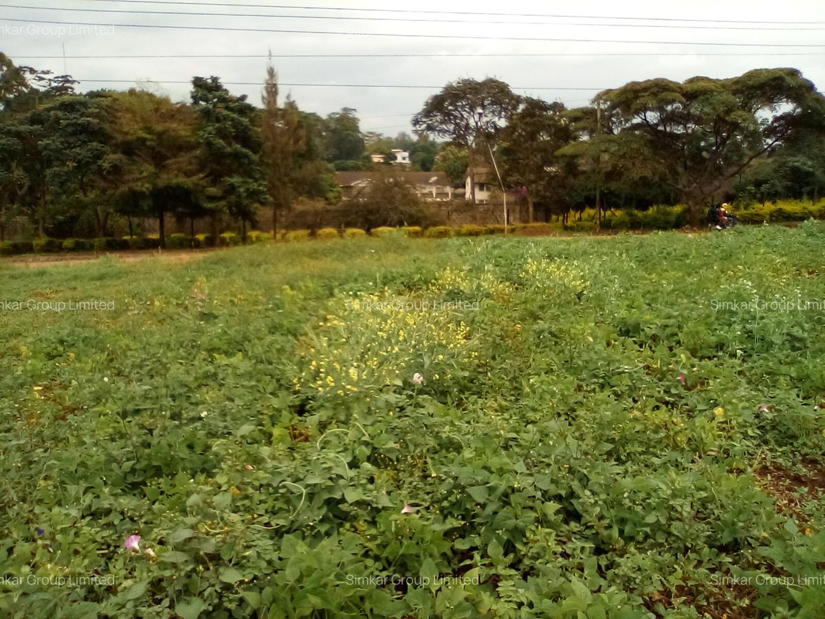 Commercial Property at Red Hill Rd - 2