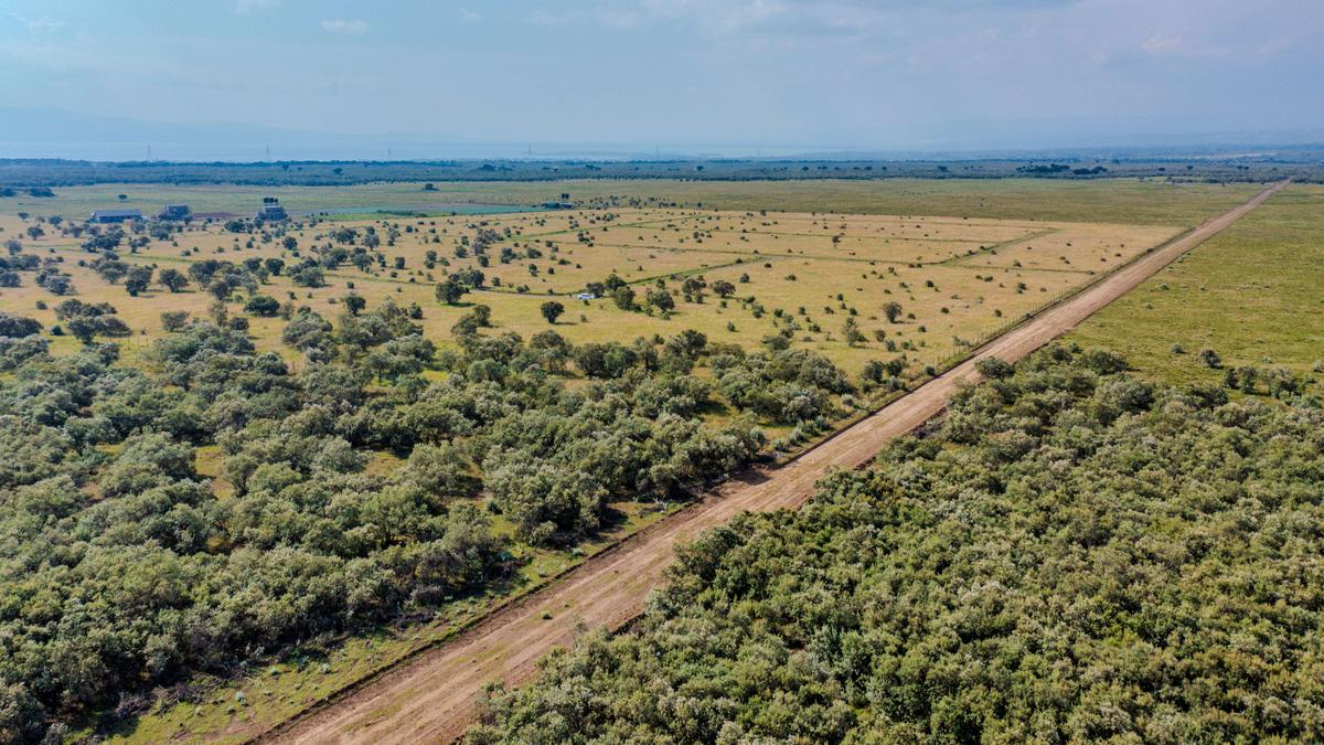 0.4 ac Land at Pana Ranch - 12