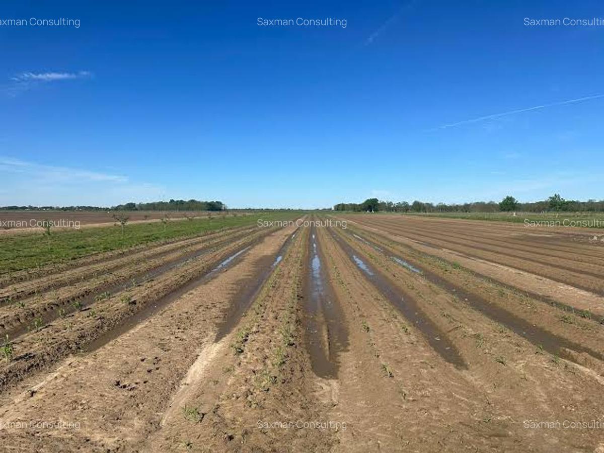 Land at Molo - 2