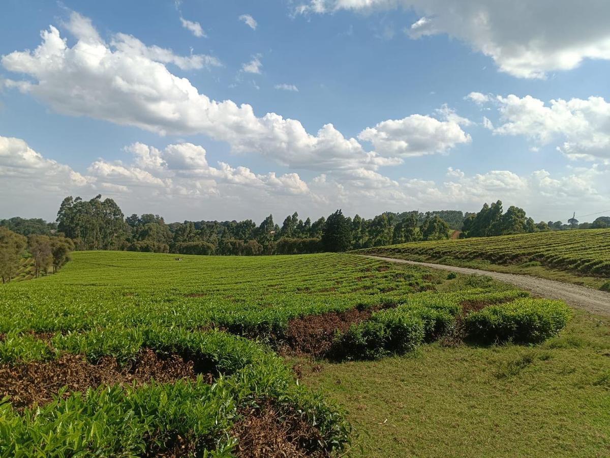 1,550 ac Land at Limuru - 2