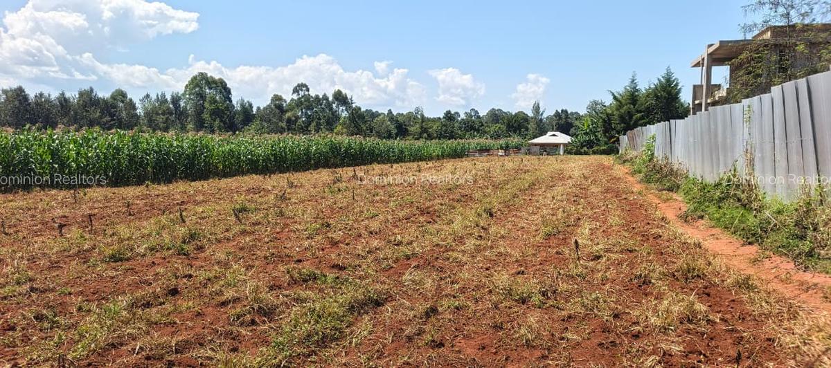 Land in Trans Nzoia - 7