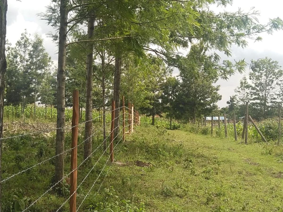 500 m² Residential Land in Ngong - 7