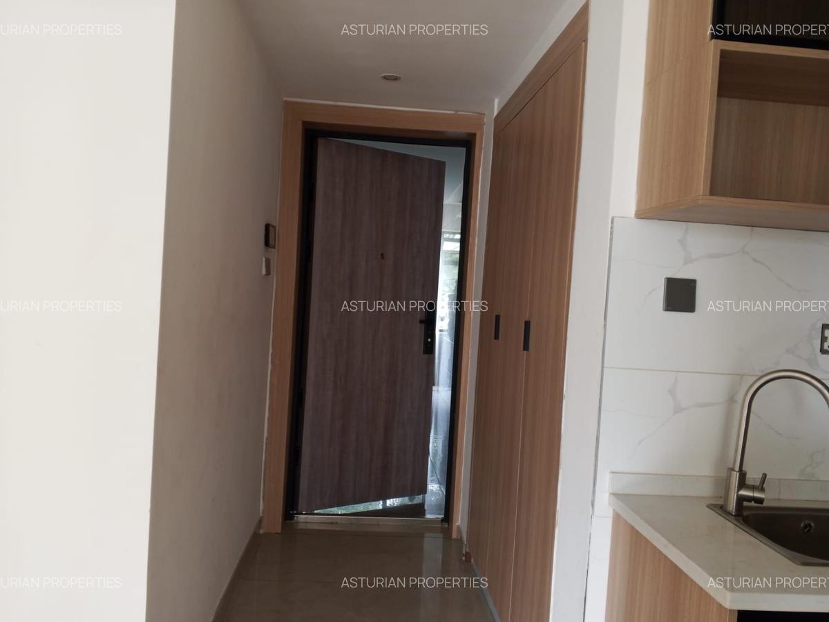 1 Bed Apartment with En Suite in Riverside - 19