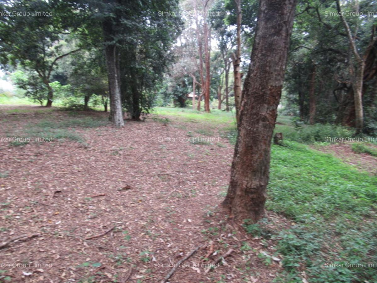 4 ac Land at Mushroom Gardens - 9