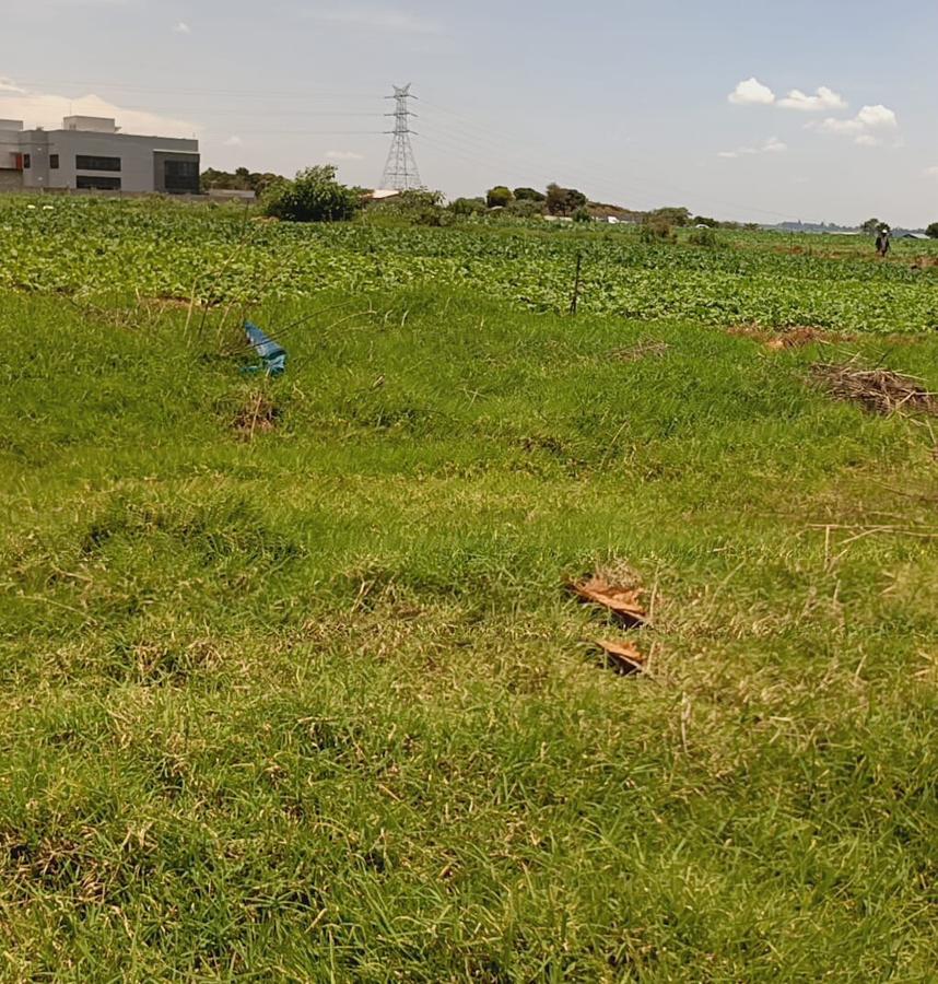 Commercial Land in Redhill - 4