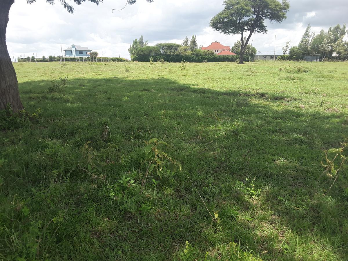 0.1 ha Residential Land in Ongata Rongai - 3