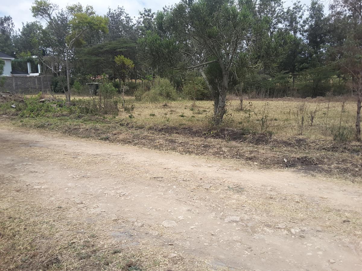 0.125 ac Residential Land in Ongata Rongai - 17