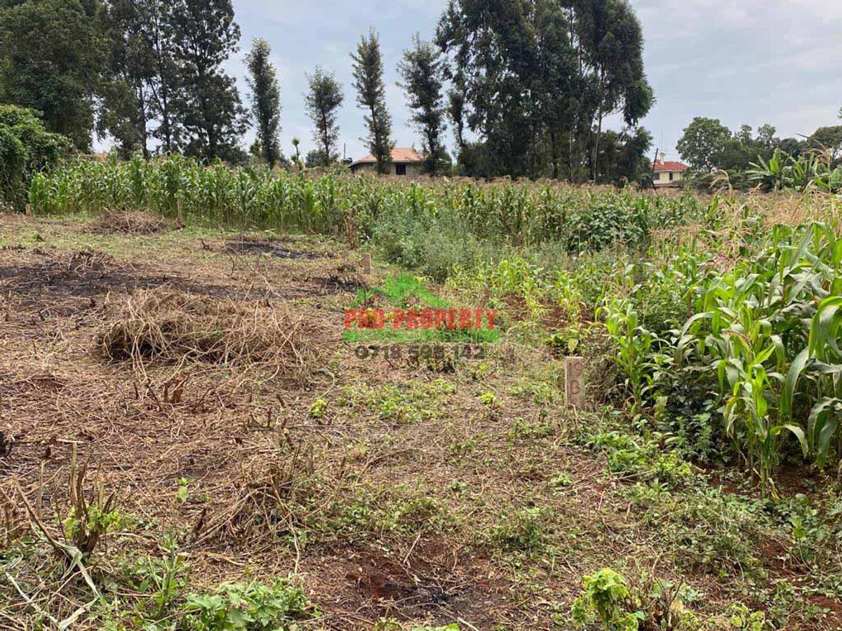 0.05 ha Residential Land in Kikuyu Town - 5