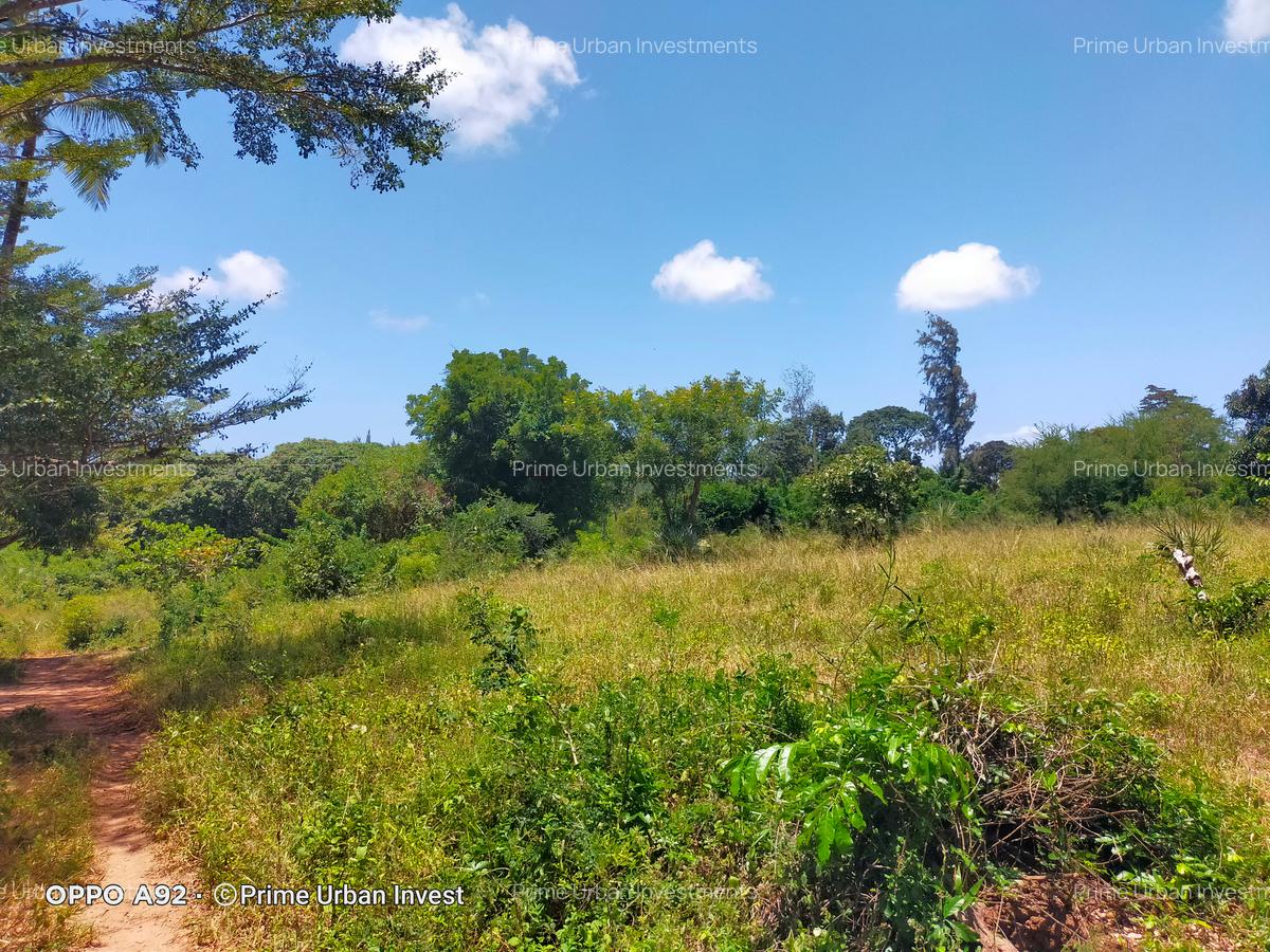 Land in Mtwapa - 9