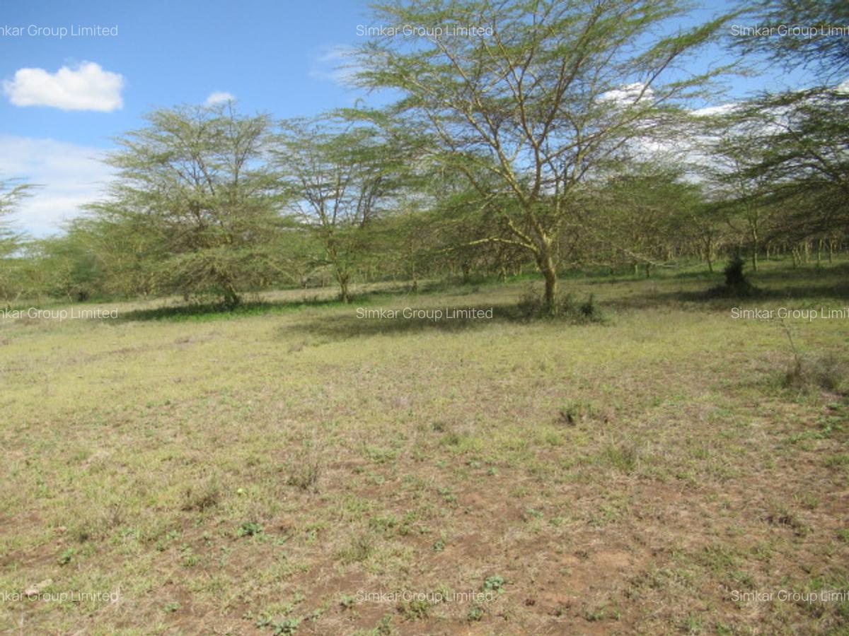 Land at Kitengela - 17