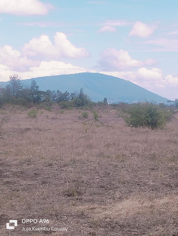 Residential Land in Juja Farm - 8