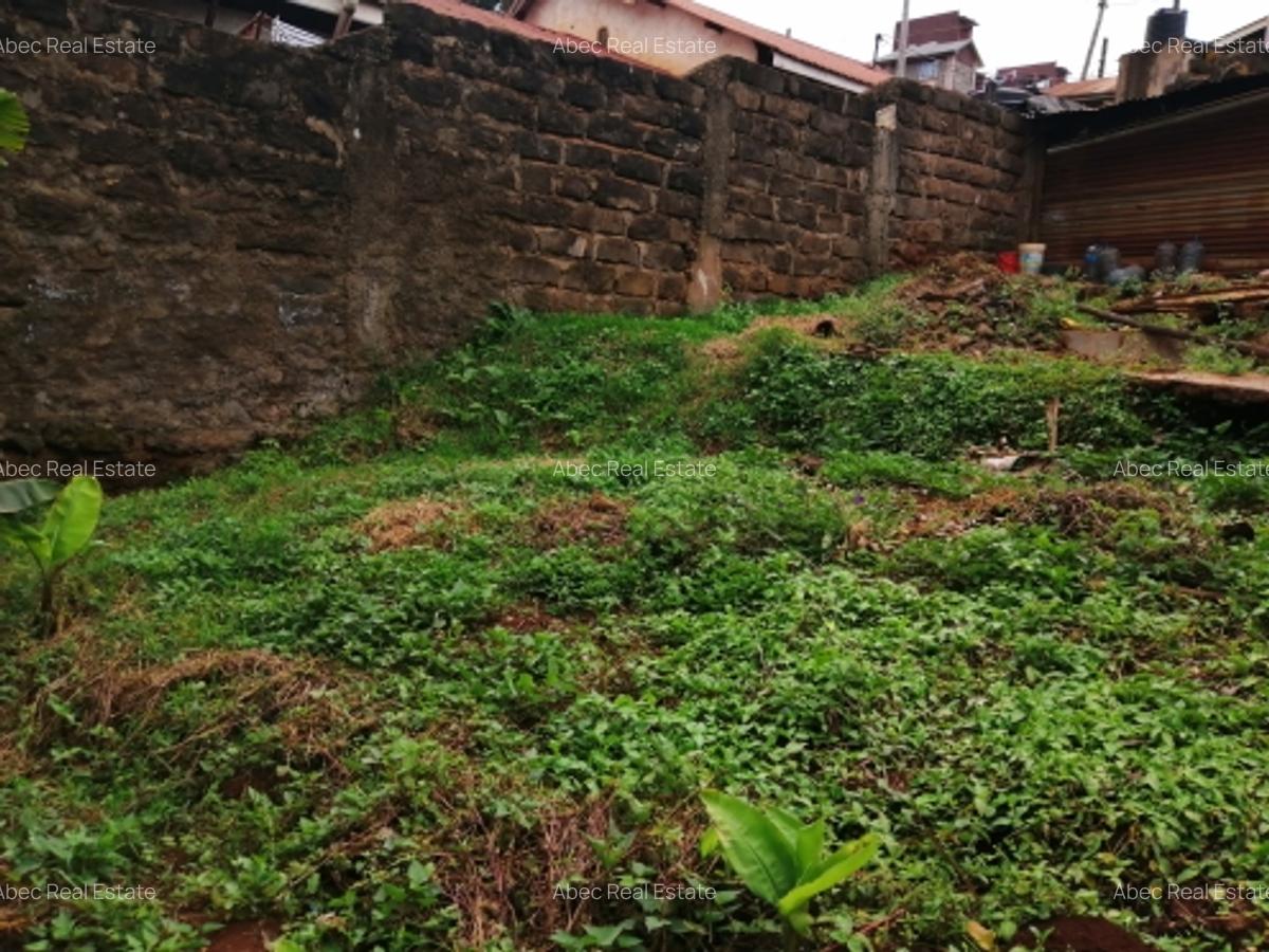 0.3 ac Residential Land at Kikuyu Road - 9