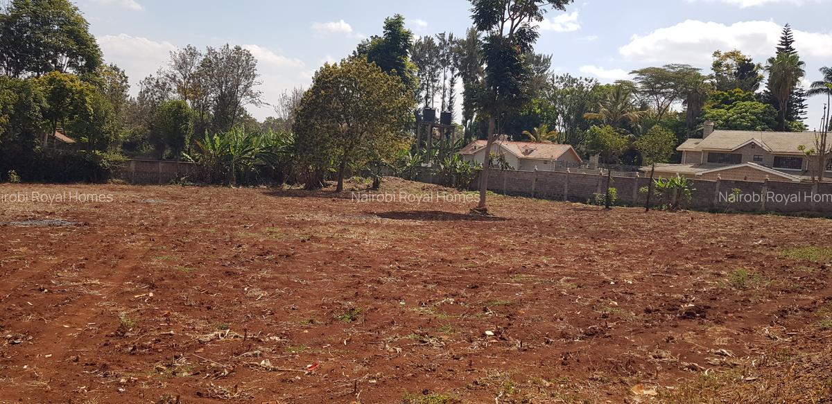 Residential Land at Flem Tree Off Ruaka Road - 7