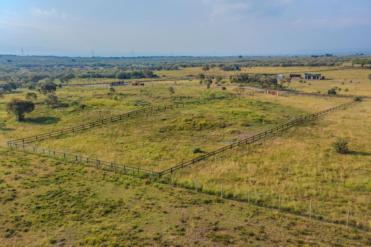 0.8 ac Residential Land at Pana Ranch - 4