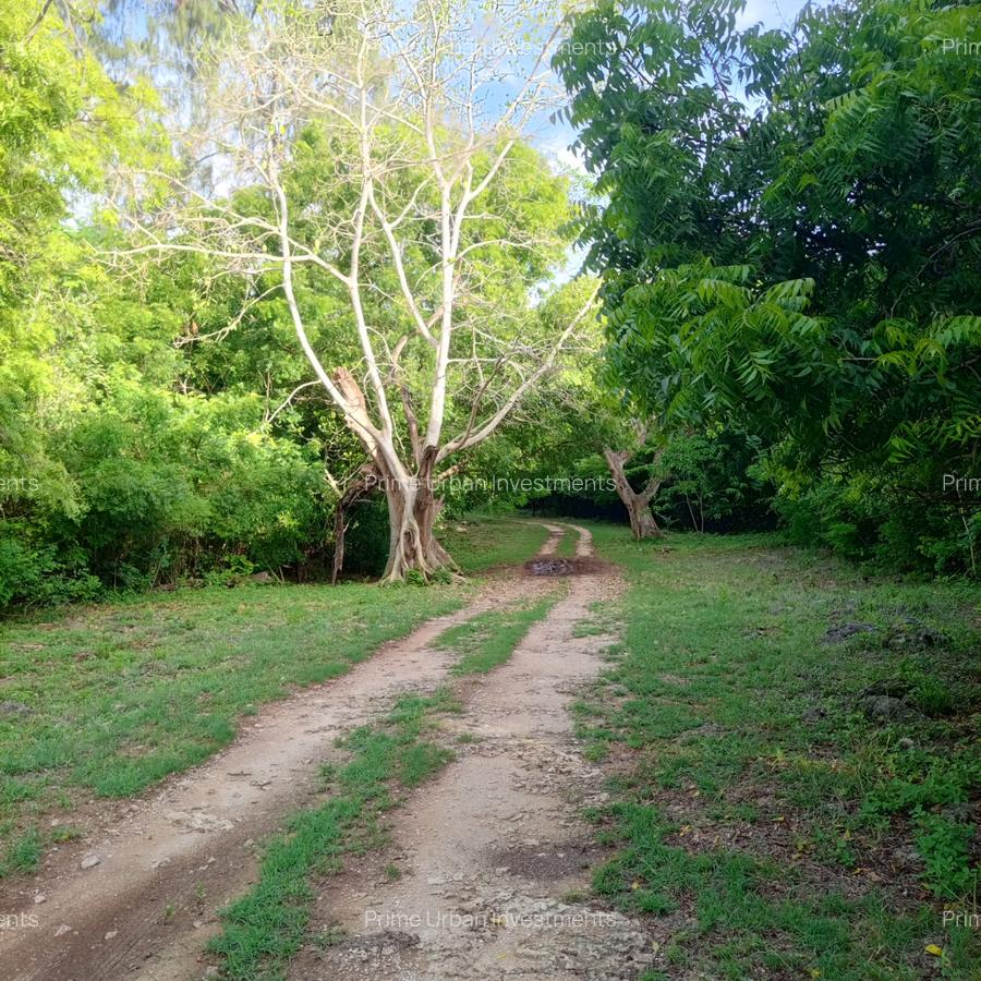 90 ac Residential Land at Kuruwitu-Vipingo - 11