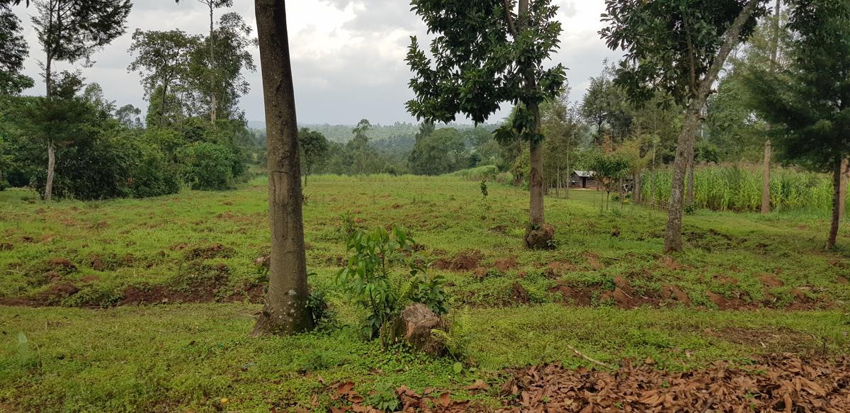 Residential Land at Mokoyot Close - 11