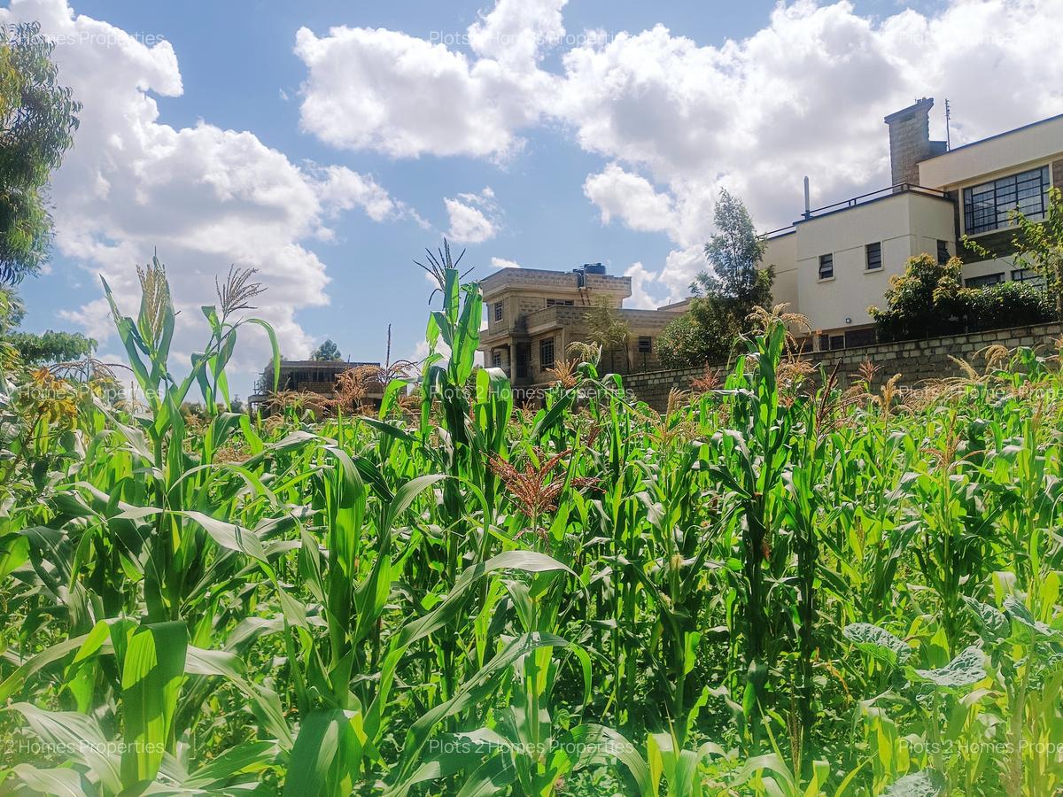 800 m² Residential Land at Nairobi Ndogo Estate - 2
