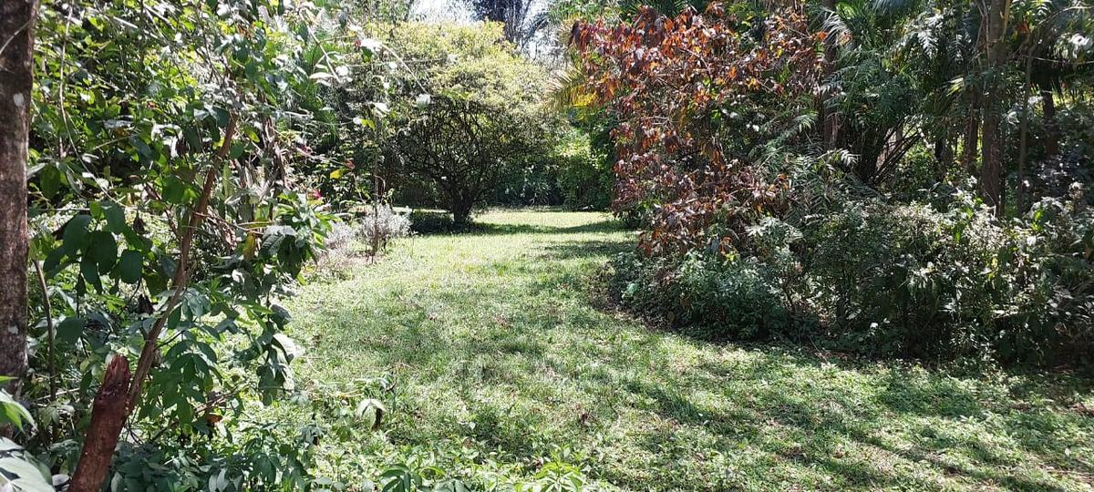 0.5 ac Land at Runda Ridge - 1