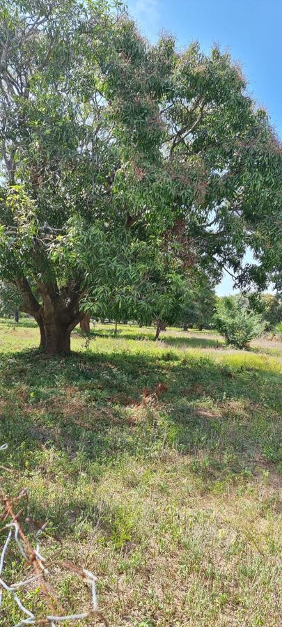 6 ac Land in Kikambala - 6