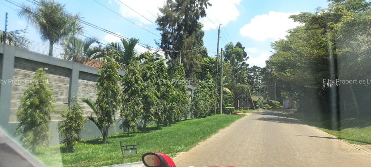 0.5 ac Residential Land at Muthithi - 19