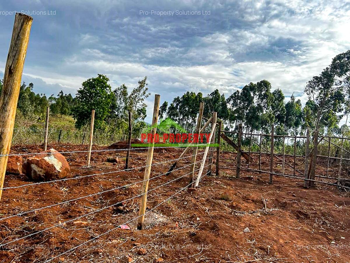 0.05 ha Residential Land in Kamangu - 10