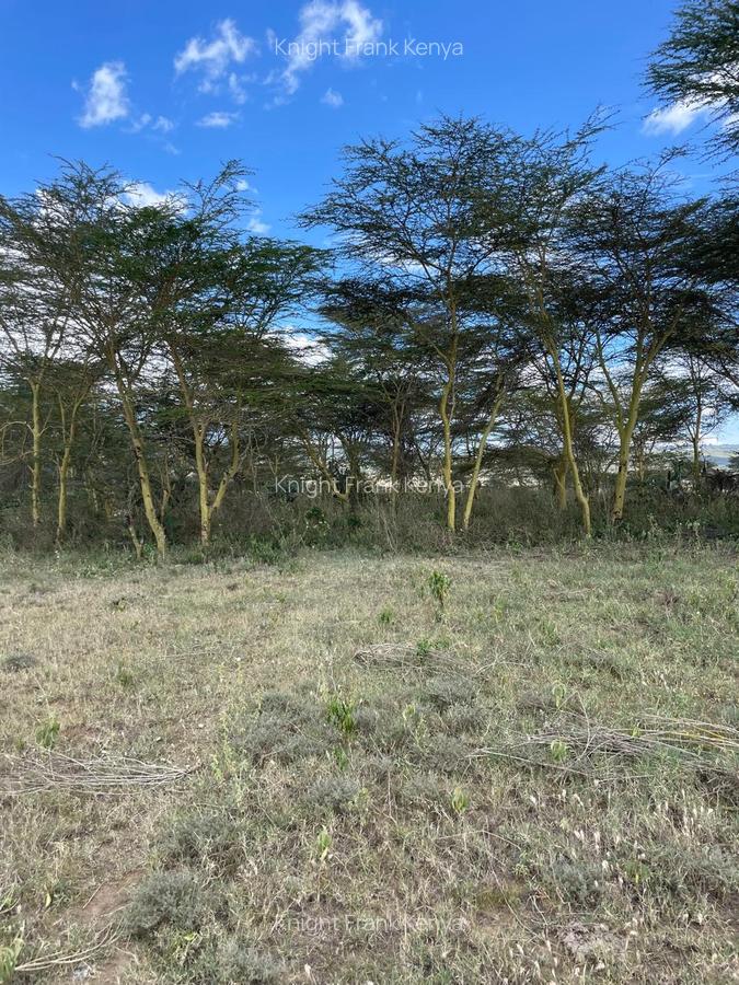 139 ac Land in Naivasha - 4