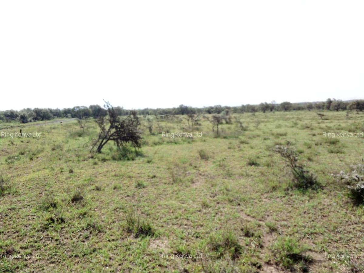 Land in Naivasha - 3