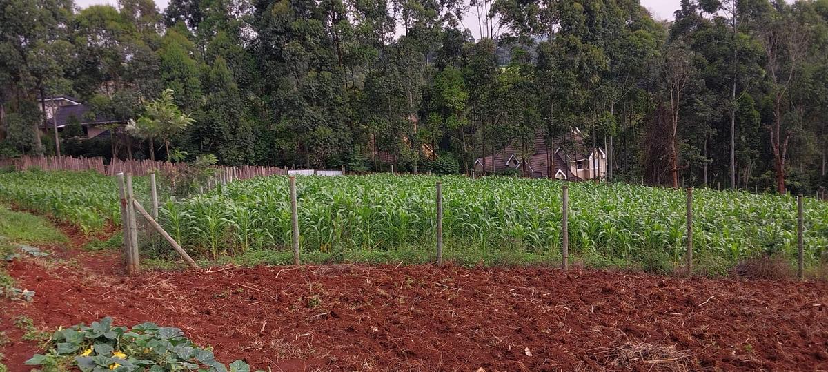 0.5 ac Land at Kerarapon Road - 3