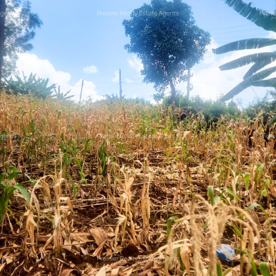 0.25 ac Commercial Land at Muthiga - 4