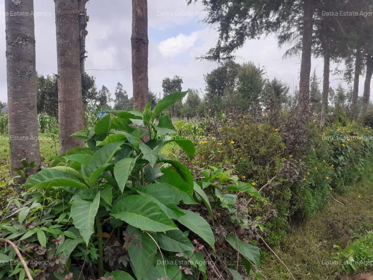 0.25 ac Land at Njabini Town - 14