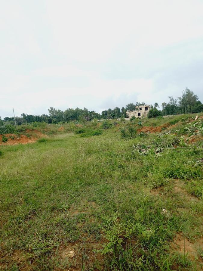 1 ac Commercial Land in Ukunda - 6